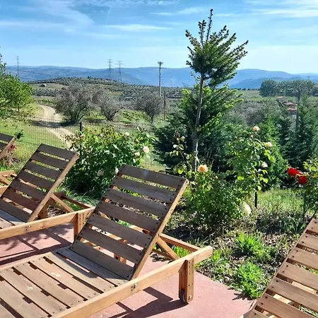 Villa Quinta Do Outono à Armamar Extérieur photo