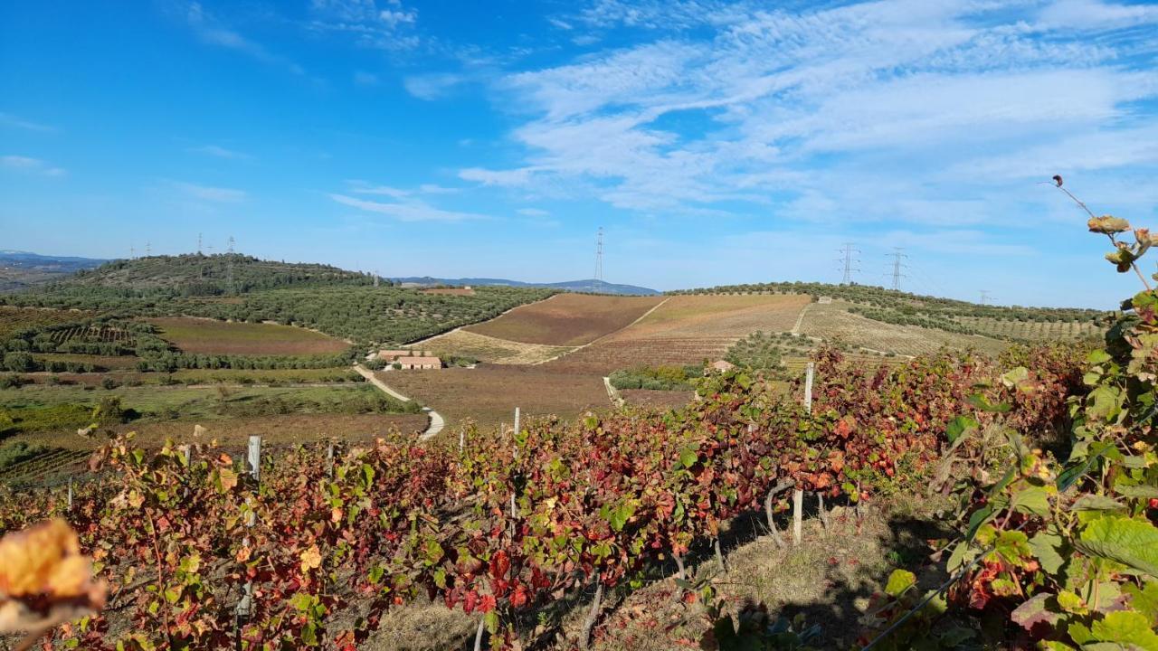 Quinta Do Outono * Armamar