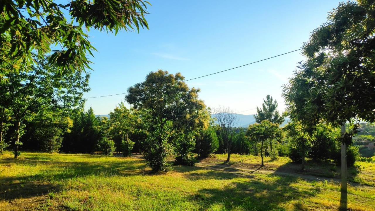 Quinta Do Outono Séjour à la ferme *