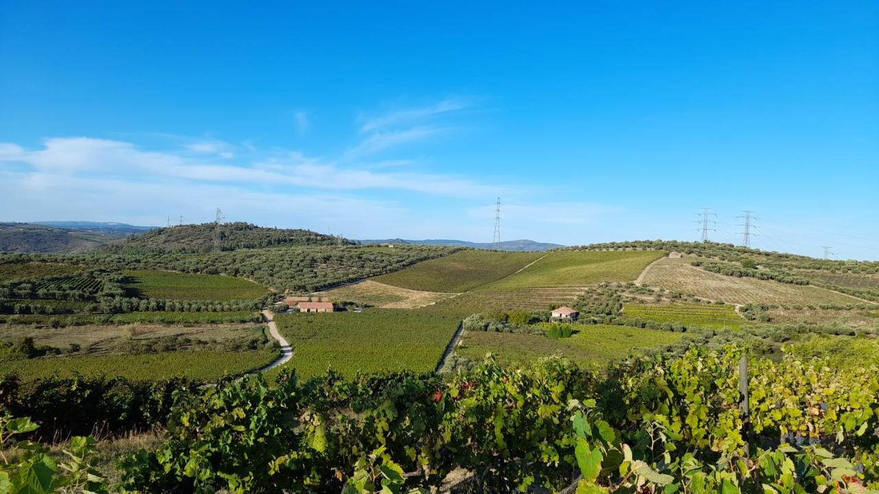 Séjour à la ferme Quinta Do Outono *
